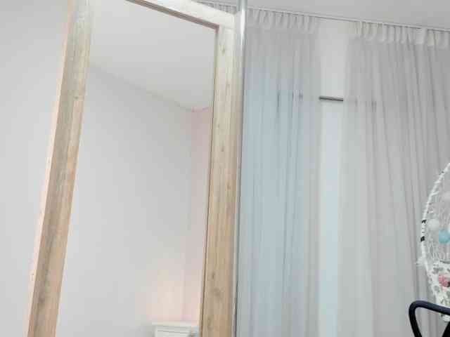 salalinz webcam
