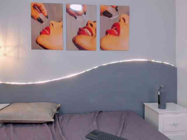 salalinz webcam