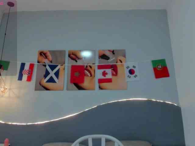 salalinz webcam