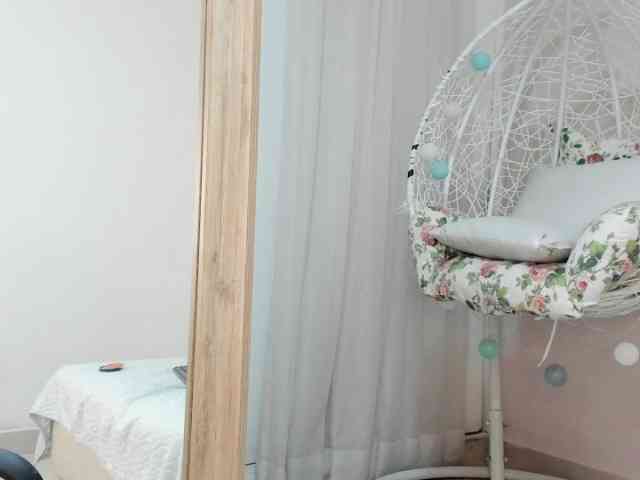salalinz webcam