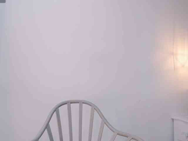 salalinz webcam