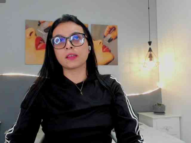 salalinz webcam