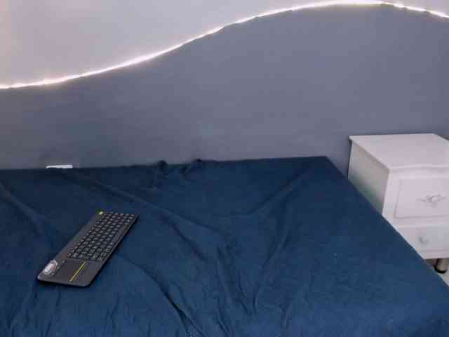salalinz webcam