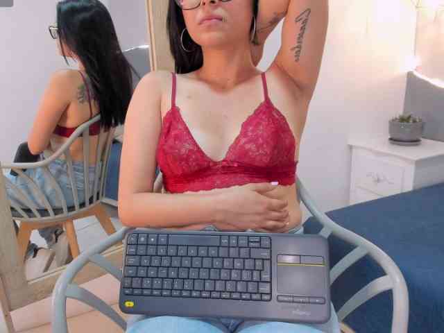 salalinz webcam