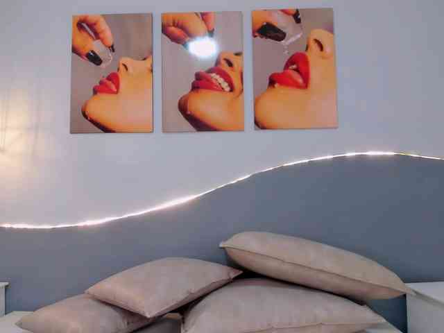 salalinz webcam