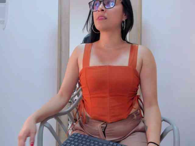 salalinz webcam