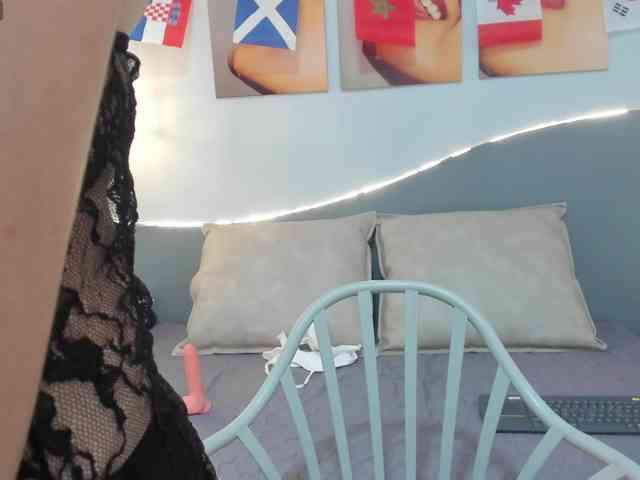 salalinz webcam