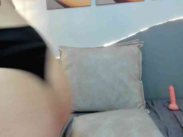 salalinz webcam
