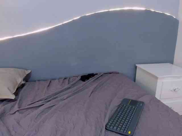 salalinz webcam