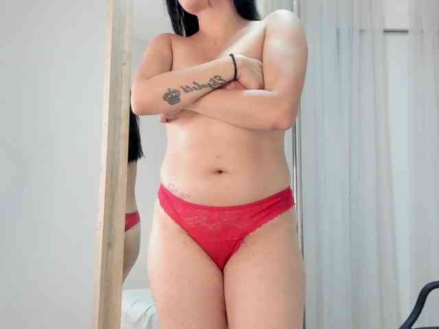salalinz webcam