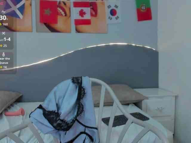 salalinz webcam