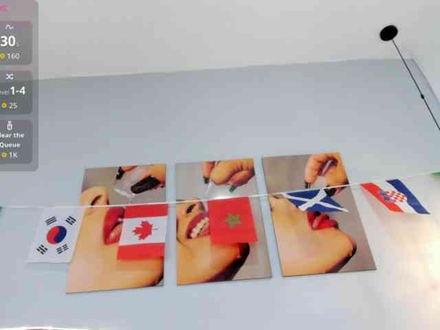 salalinz webcam