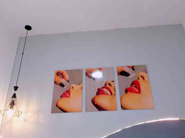 salalinz webcam
