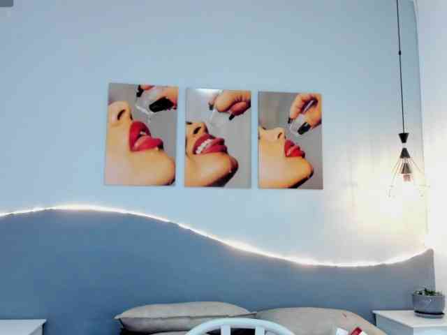 salalinz webcam
