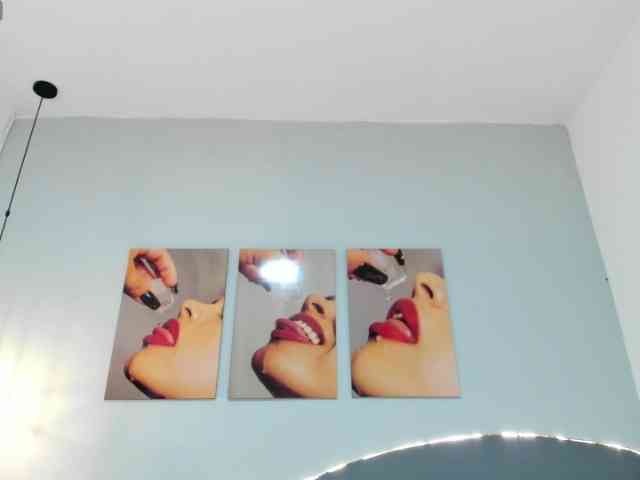 salalinz webcam