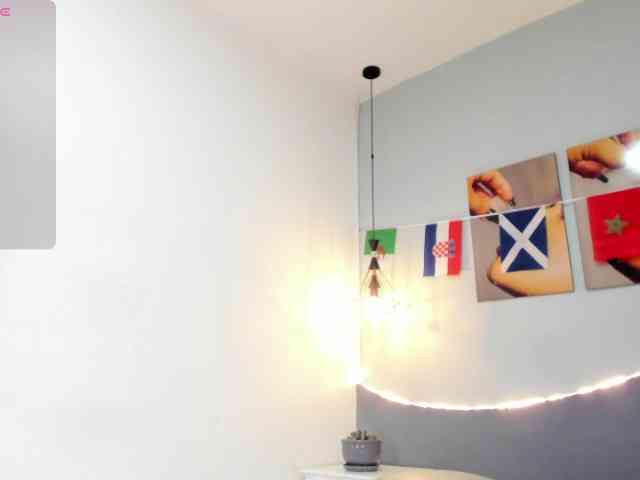 salalinz webcam