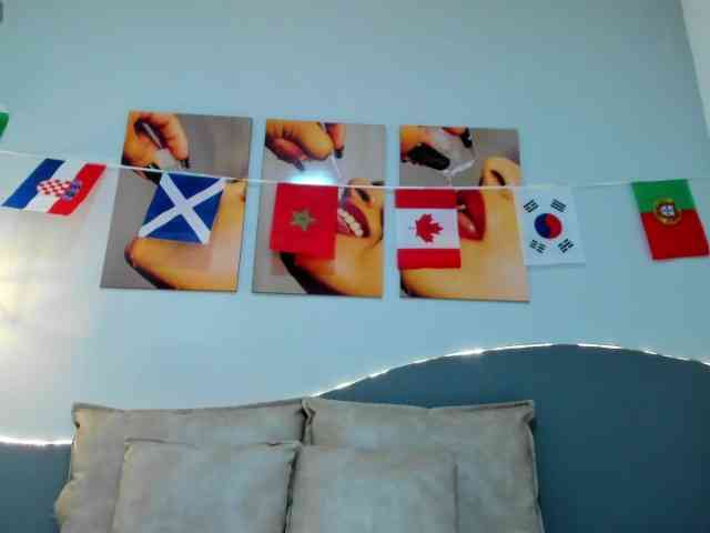salalinz webcam