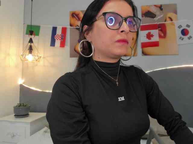 salalinz webcam