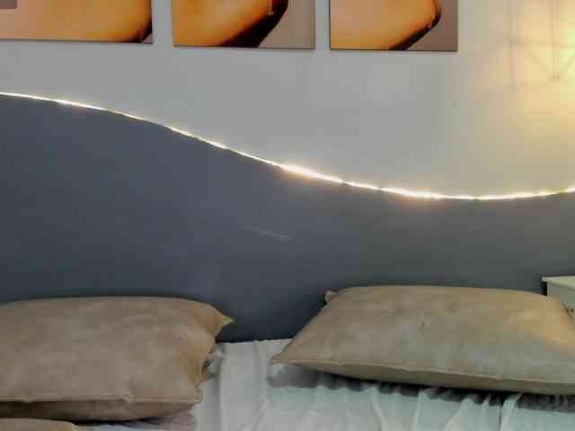 salalinz webcam