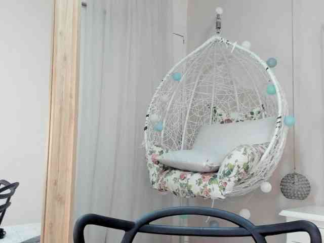 salalinz webcam
