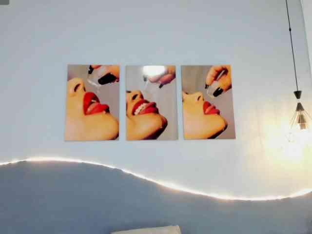 salalinz webcam