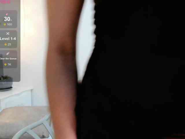 salalinz webcam