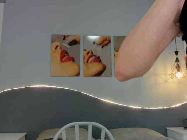 salalinz webcam