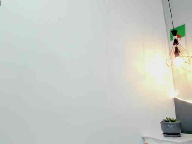 salalinz webcam