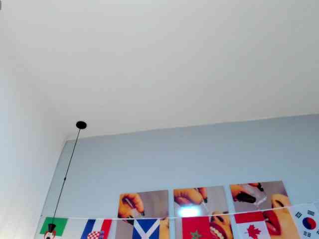 salalinz webcam