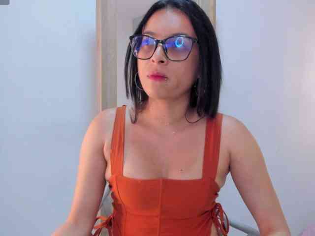 salalinz webcam