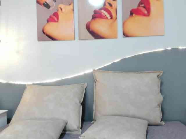 salalinz webcam