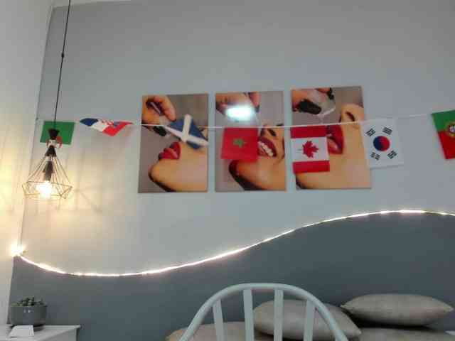 salalinz webcam