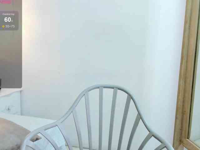 salalinz webcam