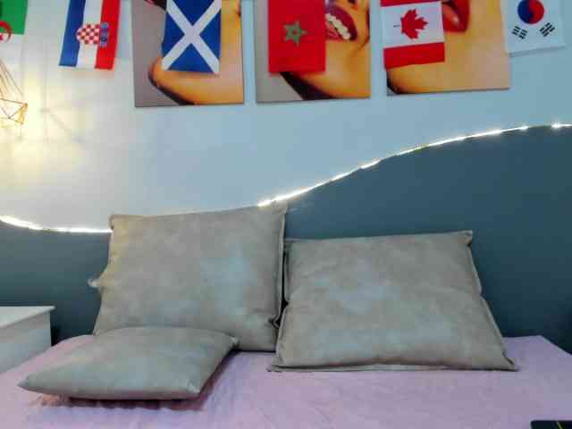 salalinz webcam