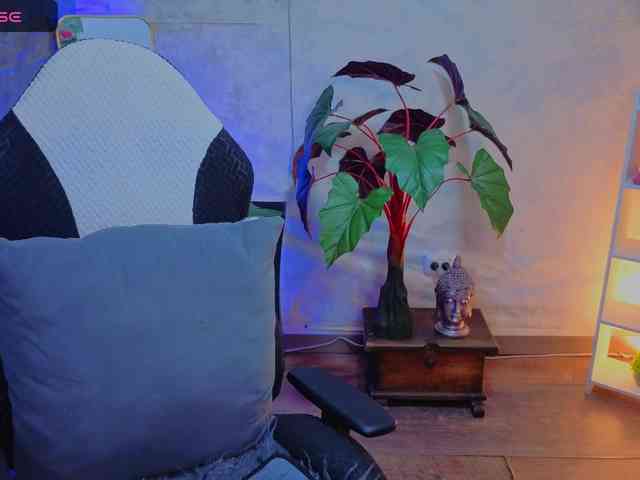 Pixxiie webcam