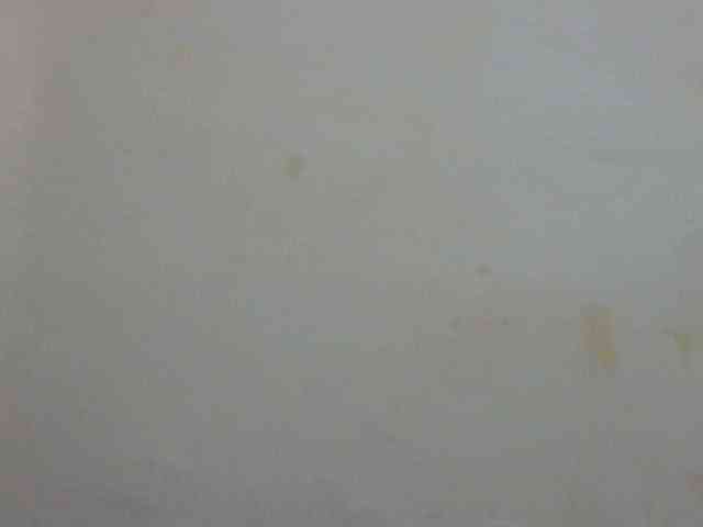 LovelyLiz254 webcam