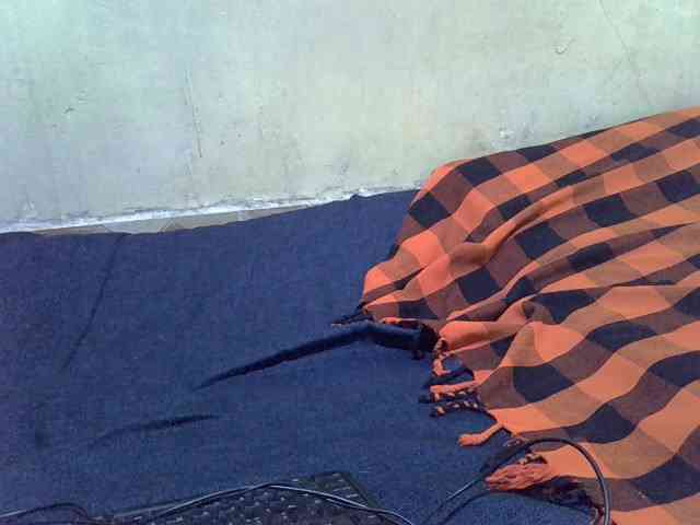 LovelyLiz254 webcam