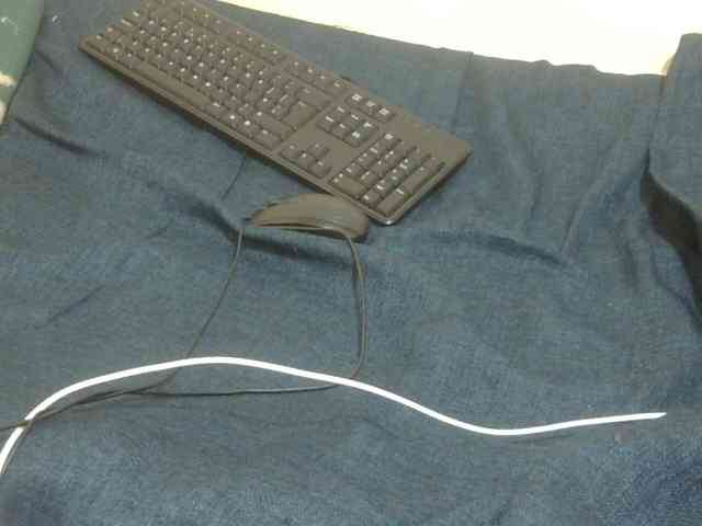 LovelyLiz254 webcam