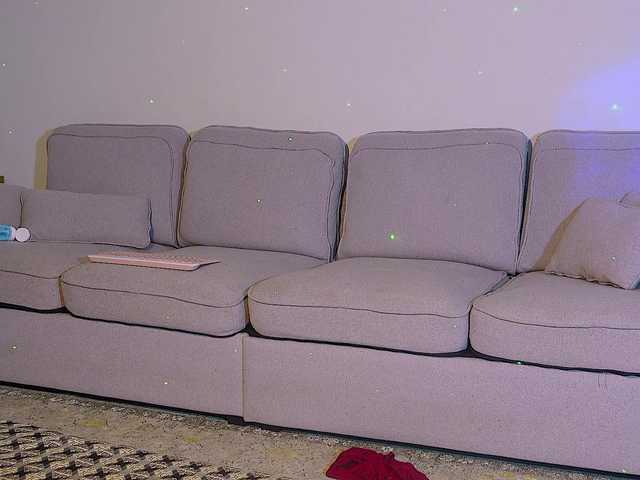 SophiaXJohn