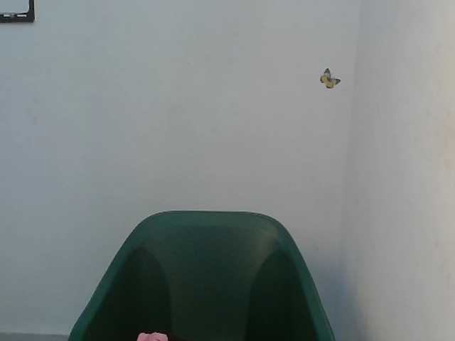 Sweet-fariha live cam on BongaCams