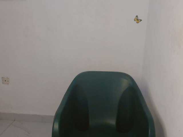 Sweet-fariha live cam on BongaCams