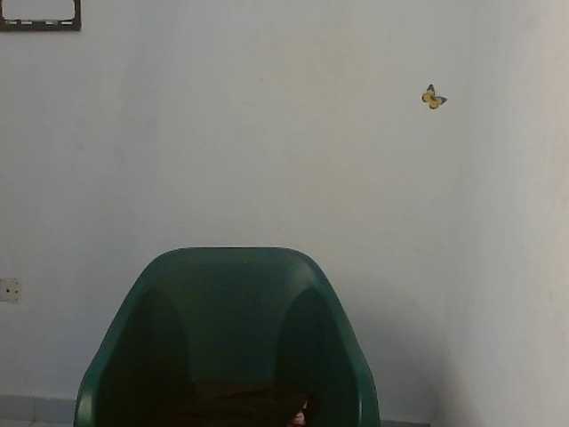 Sweet-fariha webcam