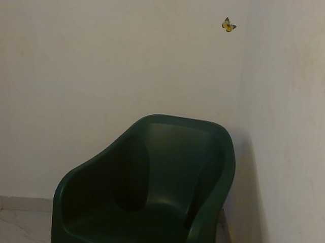 Sweet-fariha live cam on BongaCams