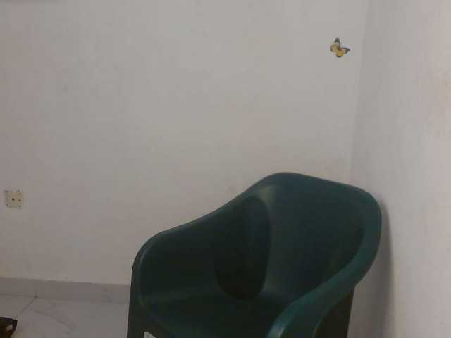 Sweet-fariha live cam on BongaCams