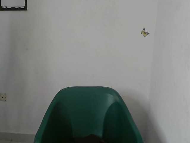 Sweet-fariha live cam on BongaCams
