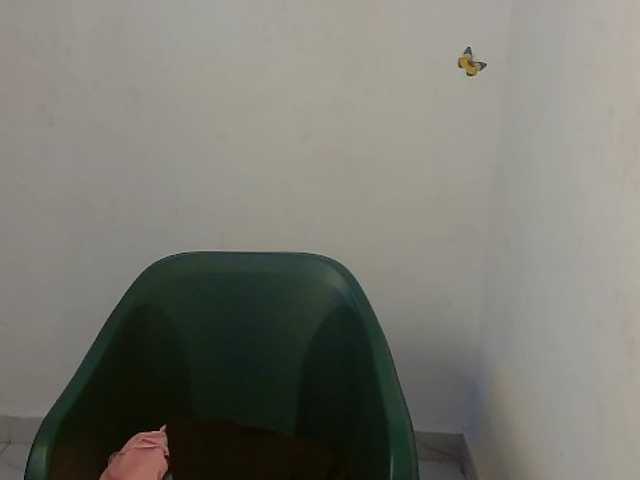 Sweet-fariha live cam on BongaCams