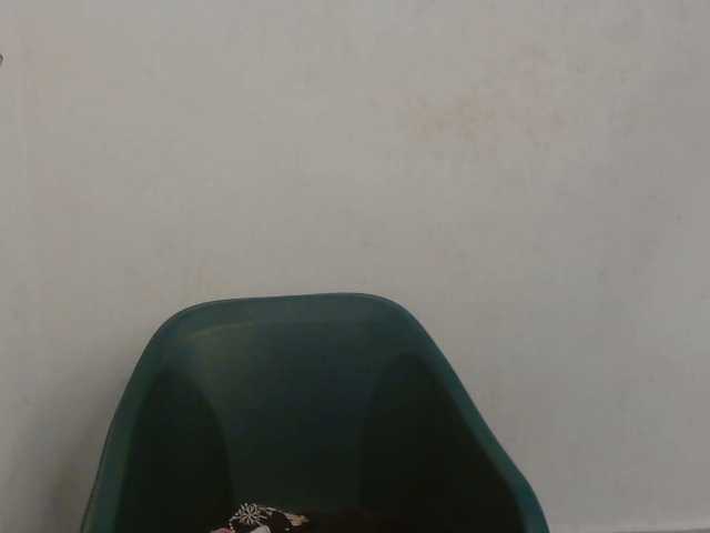 Sweet-fariha live cam on BongaCams