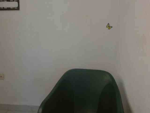 Sweet-fariha webcam