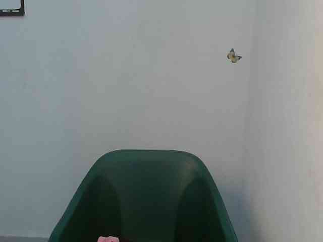 Sweet-fariha webcam
