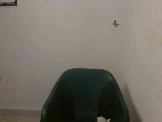 Sweet-fariha webcam